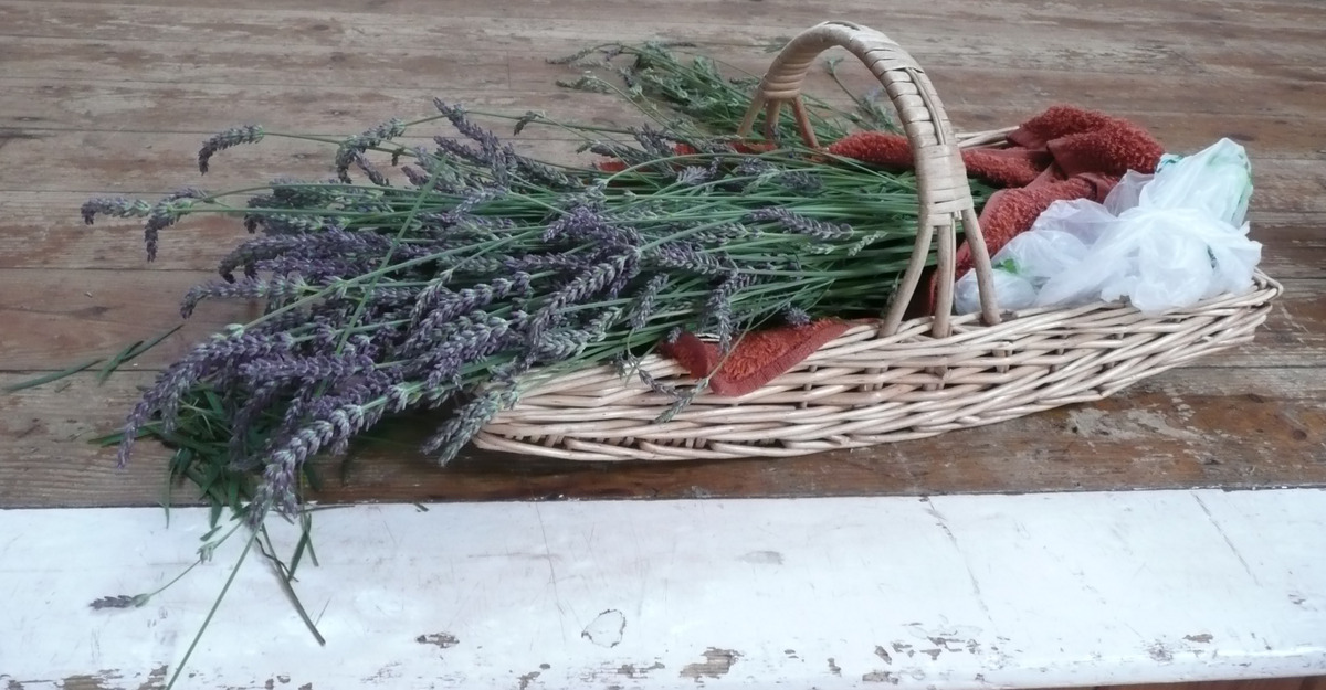 Lavender Basket